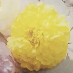 Profile image of テソン