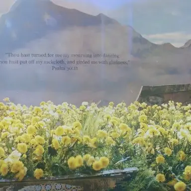 Profile image of ヨンベ