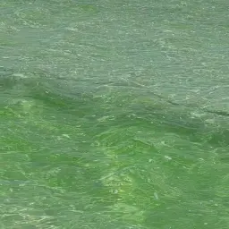 Profile image of 공룡