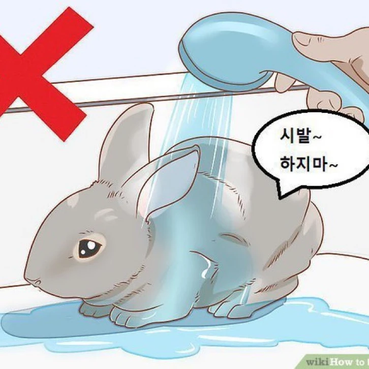 다이어트 헬퍼