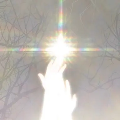 Profile image of 버스터