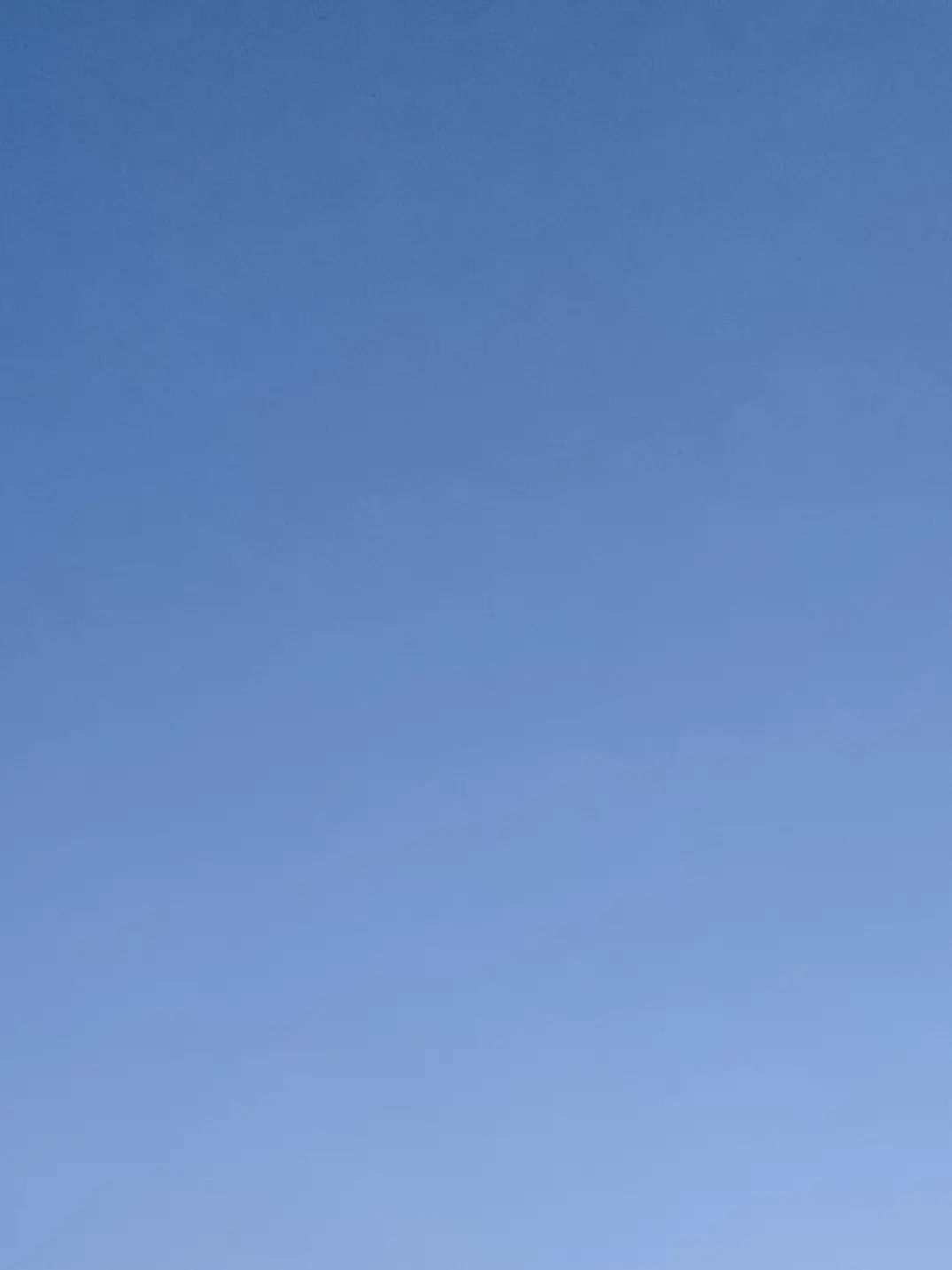 k01tuk1Rock1223의 『一蓮托生』