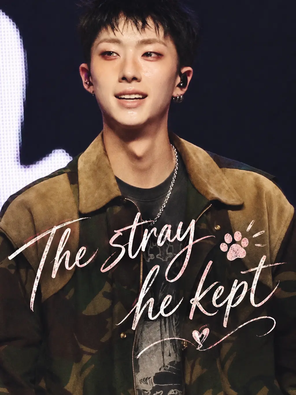 TillyWilly의 The stray he kept