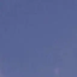 Profile image of 다른 대학생들