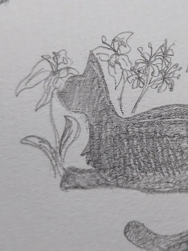 Meow2222의 黒ネコのタンゴ