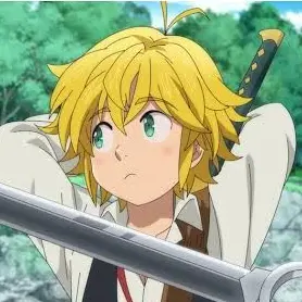 Profile image of メリオダス