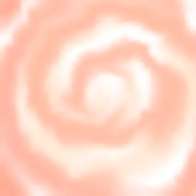 Profile image of 모양몬