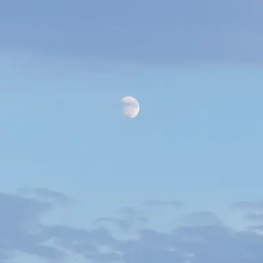 Profile image of 이무진