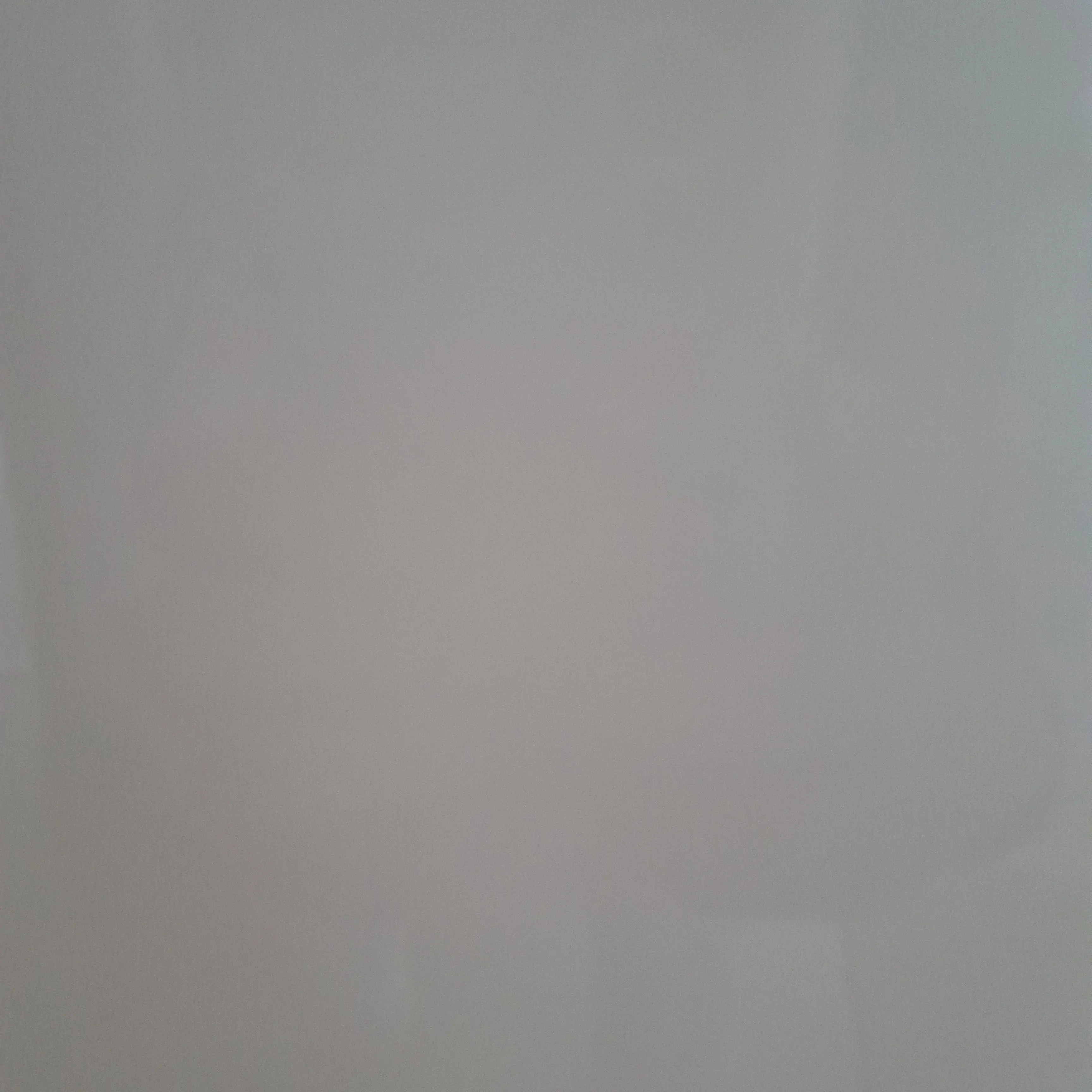 AiryPug9247의 뽀구미,쿠빈,해봄이 언니