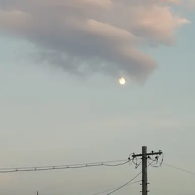 Profile image of なかむ