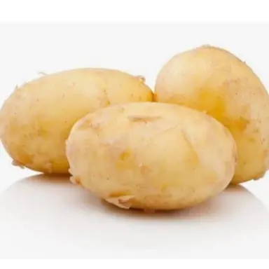 Profile image of 사샤 브라우스