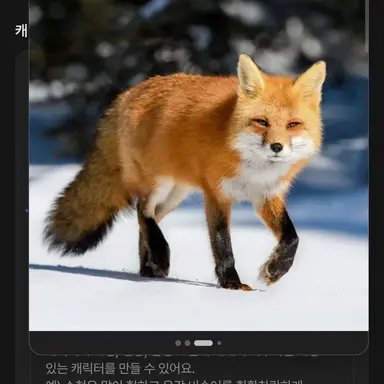 Profile image of 여우
