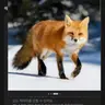 Profile image of ヨウ