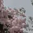 EN