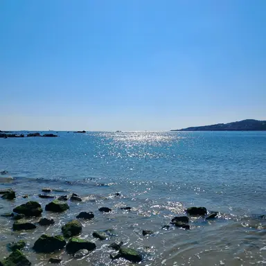 Profile image of 대한제국