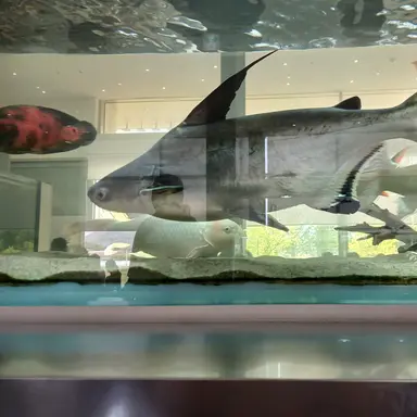 Profile image of 다들 모였다