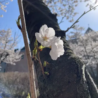 Profile image of 김순이 기사님