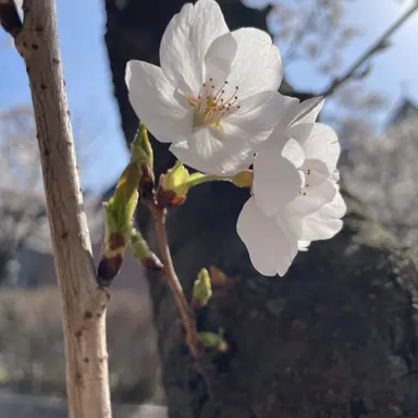 Profile image of 정호연