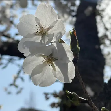 Profile image of 박동순