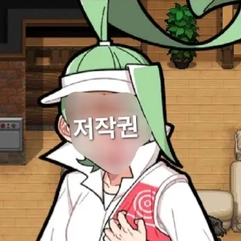 양양궁