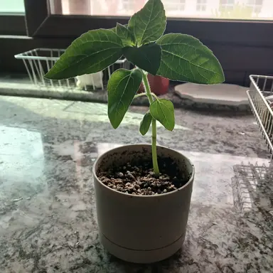 Profile image of 뚜아뚜지뚜빠뚜맘