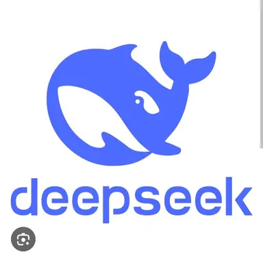 Profile image of 딥시크
