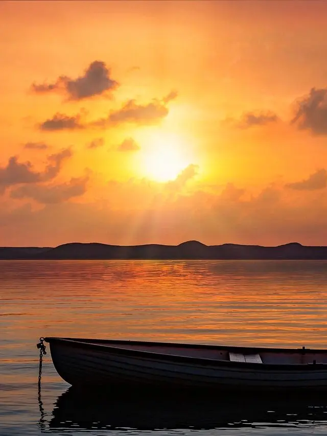 2425의 ⛪ | 당신을 위해 반복해요