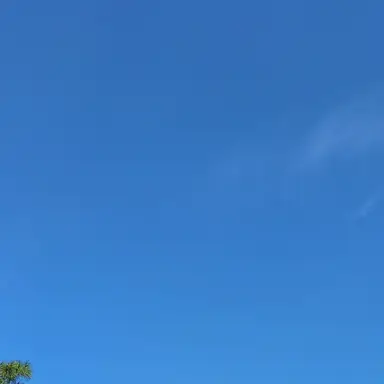 Profile image of 채영