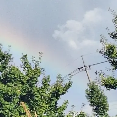 Profile image of 지헌