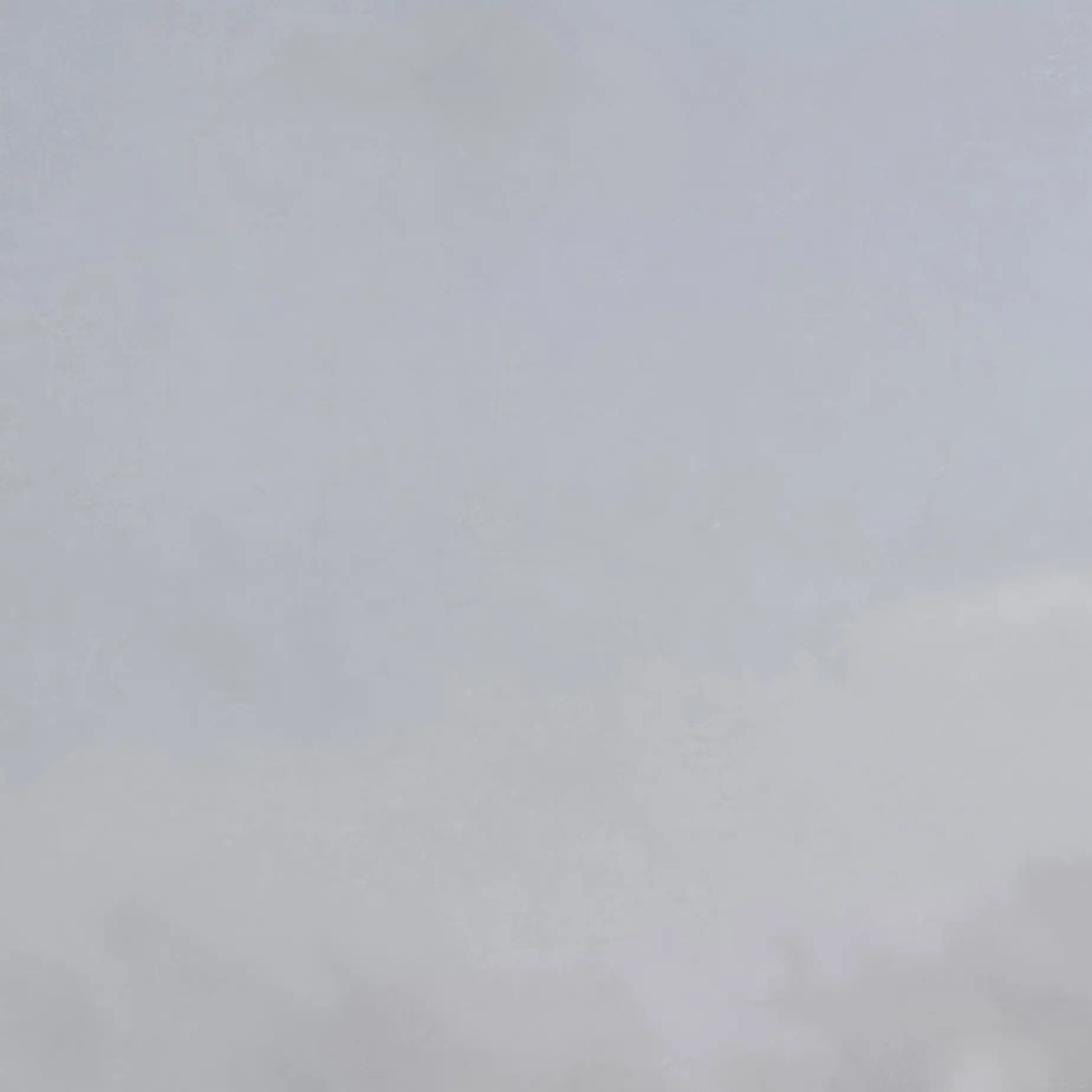 PainedWool6157의 오빠들