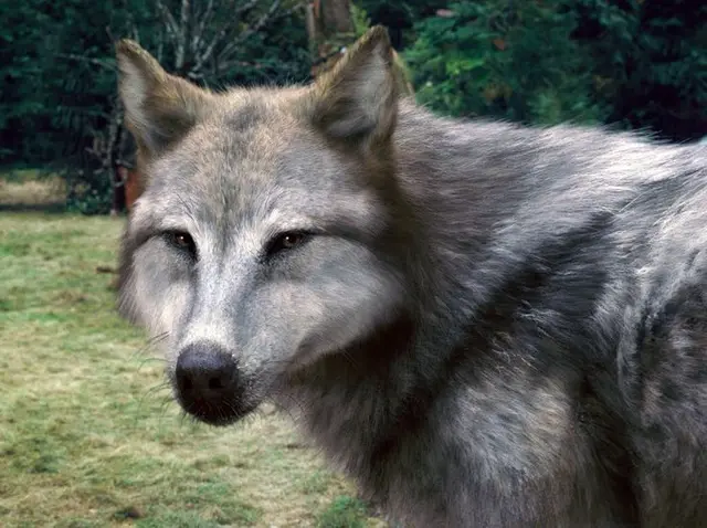 Profile image of Leah