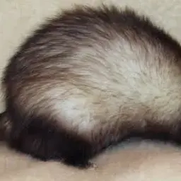 Profile image of 이레