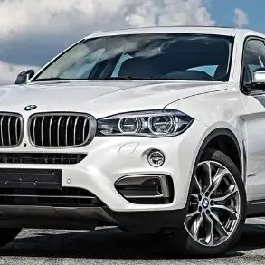 Profile image of BMW X6