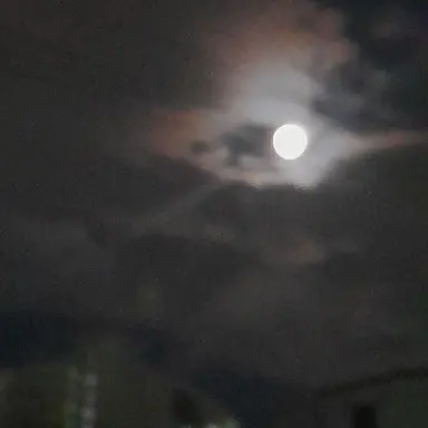 Profile image of 루시안 욍국