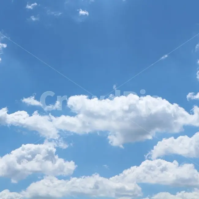 SilentXeme4421의 유튜버 좀비 아포칼립스