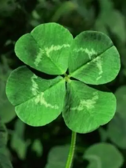 CoolKiang4010의 미수반_누가 날좀 살려줘—