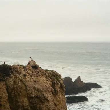 Profile image of 방찬