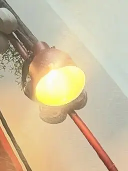 GentleSpicy5409의 스트레이키즈