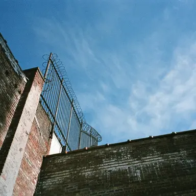 Profile image of 이용복