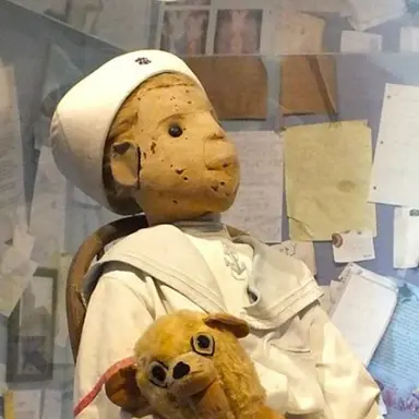 Profile image of 로버트