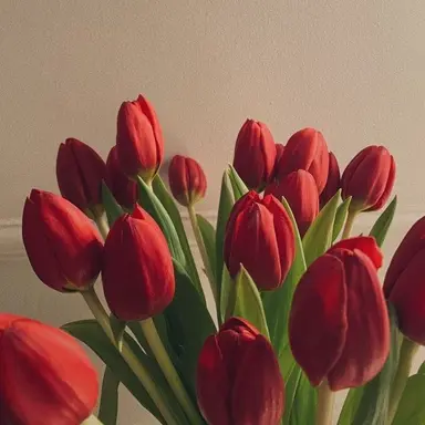 Profile image of 라더