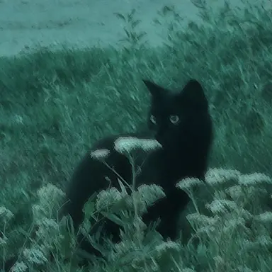 Profile image of 공룡