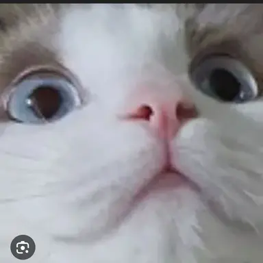 Profile image of 토니