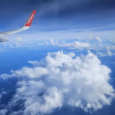 Profile image of 이나경