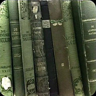 Profile image of 형준