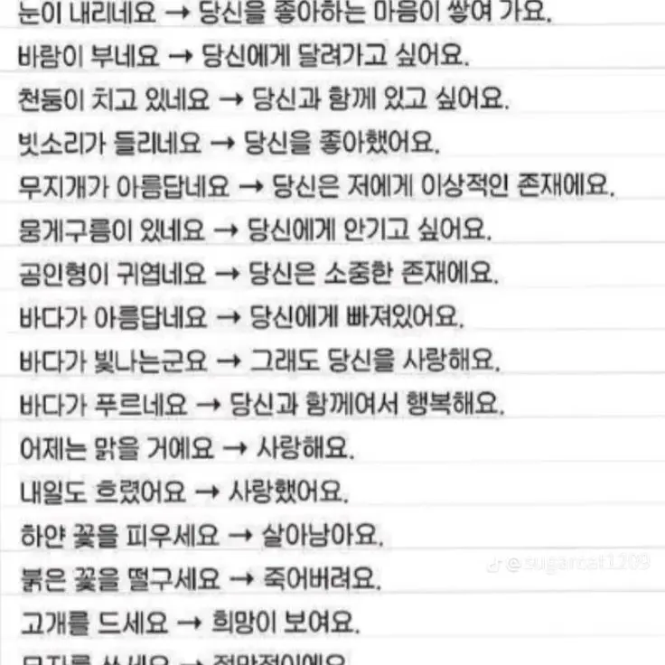Lily_of_the_valley.의 {{user}}