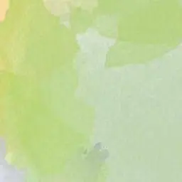 Profile image of 정공룡