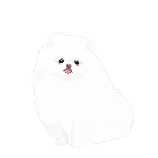 말하는 강아지 두부
