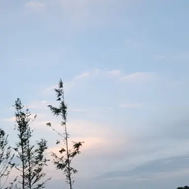 Profile image of 라더