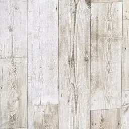 Profile image of 塩﨑太智